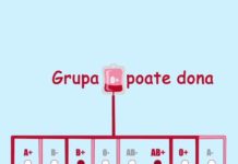 Concurs OneTouch Select Plus